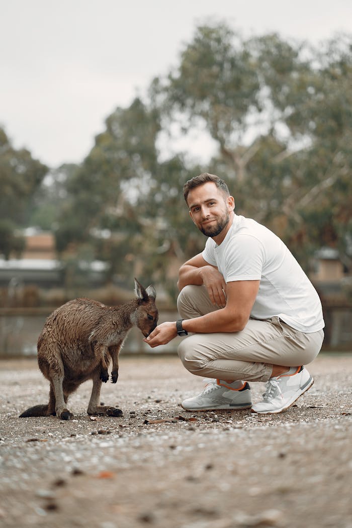 Man crouches to feed a kangaroo in a serene outdoor park setting.